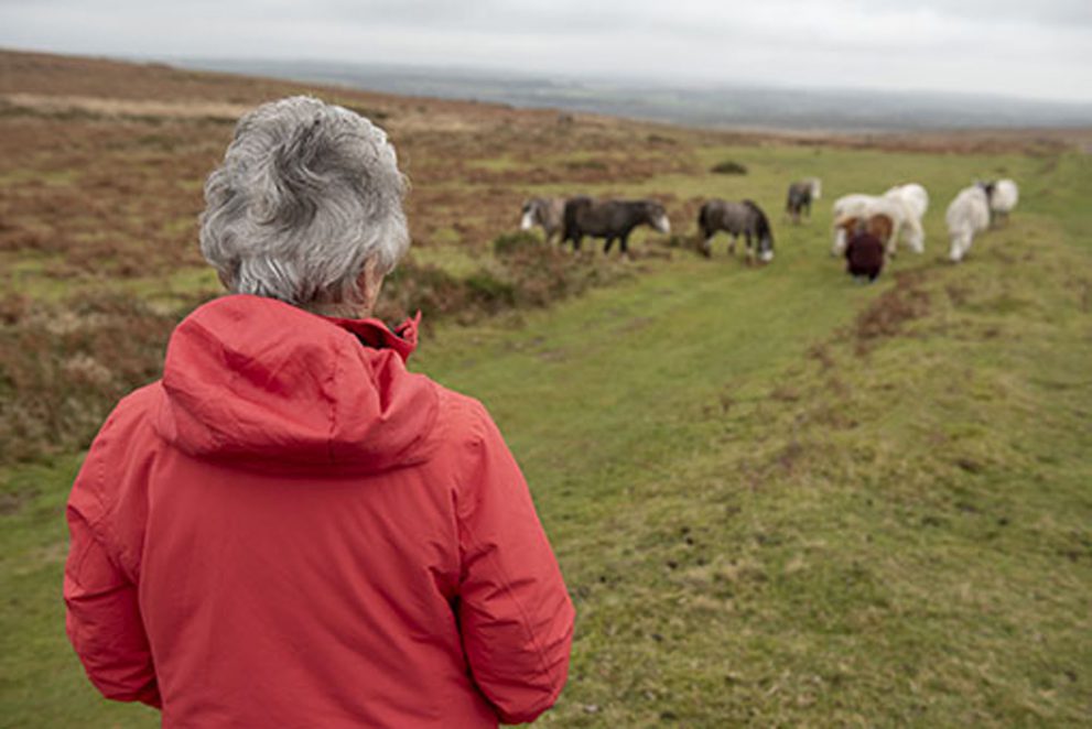 Senior woman overlooking wild horses