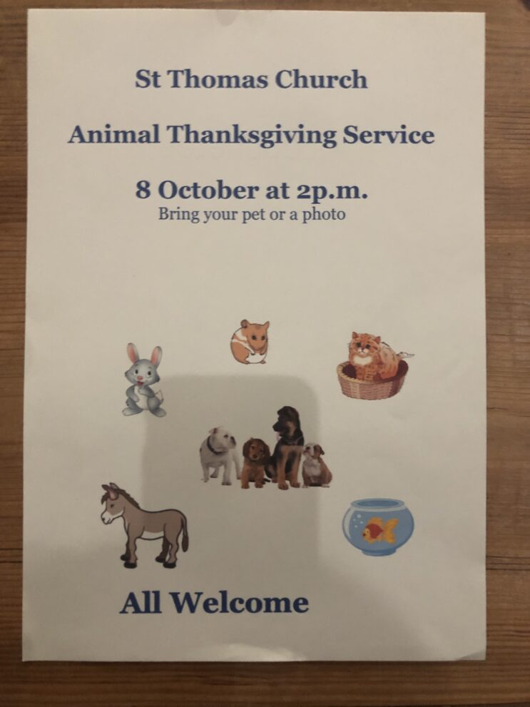 Gateshead Animal Shelter Bryson's Animal Shelter