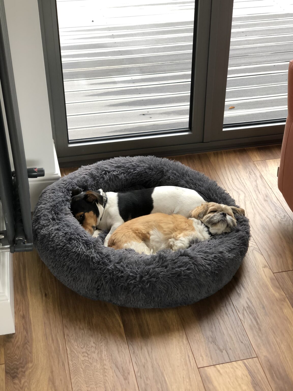 Gateshead Animal Shelter Bryson's Animal Shelter